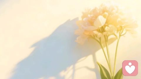 戒掉你的低配得感，你值得被爱！