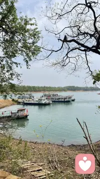 暖暖在这里给恁拜年了，祝大家天天好心情
生活偶尔有阵雨阴霾，但你不必独自撑伞，有我在这里，随时给你很温暖的倾听配图