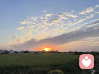 你有没有试过，当朋友向你倾诉时，你明明认真听了，对方却依然觉得“不被理解”？其实，真正的倾听不是“听内容”，而是“接情绪”。上周深夜，朋友突然给我发消息：“我好像搞砸了所有事。”我没急着问她“怎么了”，而是回：“听起来你现在特别累，像被很多事压着喘不过气。”她沉默了几秒，突然哭了：“对，我就是觉得没人懂这种无力感。”后来她告诉我，那一刻她终于敢承认自己的脆弱——因为有人先接住了她的情绪，而不是急着评判“你该怎么做”。你看，倾听从来不是给答案，而是让对方知道：“我在这里，你的感受值得被看见。”如果你也有想说却不敢说的心事，或者想试试真正的倾诉是什么感觉，欢迎找我聊聊——我会像接住一片飘落的叶子那样，轻轻接住你的每一句话。配图