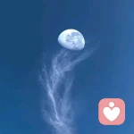 小米稀饭的头像