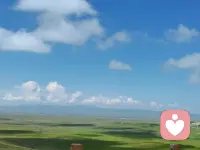 过去已成过去，不要活在遗憾里，珍惜当下，即是最好！
