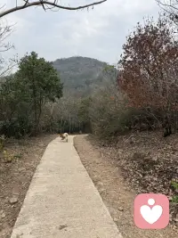 跟儿子同学的妈妈聊天中得知，她女儿初中后成绩一落千丈，各种情绪，叛逆，和爸妈吵闹，喜欢各种奇装怪服，得知平时家庭教育中爸爸是缺失的，说是心脏不好，是家里的顶梁柱，万一气出啥，这个家可咋办，家里还有个四年级的女儿，聊天中能感受到妈妈的焦虑 气氛 无助 无奈 ，其实这样的家长大有人在，孩子为啥会这样，是所谓的叛逆期吗，最大的原因在于家庭，在于夫妻关系，孩子问题的背后肯定有原因，当听到前几天还用衣架打孩子时，我真的很心疼这个孩子，孩子想这样吗，谁不想越来越好，假如爸爸妈妈多爱 多理解 多关心 多信任 多认可 少唠叨 少埋怨 少刺激 少批评等，会不会不会成现在这样，亲们，从我们自身找原因吧，尽量少管或者不管，让自己放手，让自己闭嘴，好好修行自我，自己成长了孩子自然就会好起来，我们一起加油