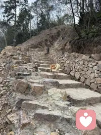 跟儿子同学的妈妈聊天中得知，她女儿初中后成绩一落千丈，各种情绪，叛逆，和爸妈吵闹，喜欢各种奇装怪服，得知平时家庭教育中爸爸是缺失的，说是心脏不好，是家里的顶梁柱，万一气出啥，这个家可咋办，家里还有个四年级的女儿，聊天中能感受到妈妈的焦虑 气氛 无助 无奈 ，其实这样的家长大有人在，孩子为啥会这样，是所谓的叛逆期吗，最大的原因在于家庭，在于夫妻关系，孩子问题的背后肯定有原因，当听到前几天还用衣架打孩子时，我真的很心疼这个孩子，孩子想这样吗，谁不想越来越好，假如爸爸妈妈多爱 多理解 多关心 多信任 多认可 少唠叨 少埋怨 少刺激 少批评等，会不会不会成现在这样，亲们，从我们自身找原因吧，尽量少管或者不管，让自己放手，让自己闭嘴，好好修行自我，自己成长了孩子自然就会好起来，我们一起加油