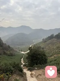 跟儿子同学的妈妈聊天中得知，她女儿初中后成绩一落千丈，各种情绪，叛逆，和爸妈吵闹，喜欢各种奇装怪服，得知平时家庭教育中爸爸是缺失的，说是心脏不好，是家里的顶梁柱，万一气出啥，这个家可咋办，家里还有个四年级的女儿，聊天中能感受到妈妈的焦虑 气氛 无助 无奈 ，其实这样的家长大有人在，孩子为啥会这样，是所谓的叛逆期吗，最大的原因在于家庭，在于夫妻关系，孩子问题的背后肯定有原因，当听到前几天还用衣架打孩子时，我真的很心疼这个孩子，孩子想这样吗，谁不想越来越好，假如爸爸妈妈多爱 多理解 多关心 多信任 多认可 少唠叨 少埋怨 少刺激 少批评等，会不会不会成现在这样，亲们，从我们自身找原因吧，尽量少管或者不管，让自己放手，让自己闭嘴，好好修行自我，自己成长了孩子自然就会好起来，我们一起加油