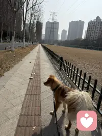 你不是不好，只是你希望更好，你不是自卑，只是没有意识到自己的勇敢而已配图