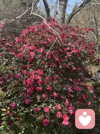 走出情绪困扰
回归心灵自由