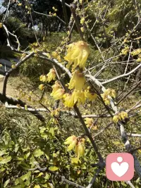 走出情绪困扰
回归心灵自由