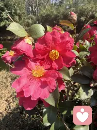 走出情绪困扰
回归心灵自由