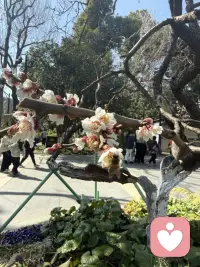 走出情绪困扰
回归心灵自由