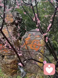 打开接受之门的钥匙，我们要真实的去面对孩子 老公 父母 等需要面对的人配图