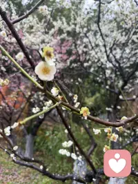 打开接受之门的钥匙，我们要真实的去面对孩子 老公 父母 等需要面对的人配图