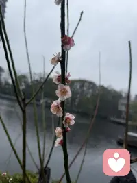 打开接受之门的钥匙，我们要真实的去面对孩子 老公 父母 等需要面对的人配图