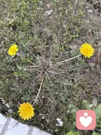 过好当下，不念过往，不畏将来，不负余生，活出自己配图