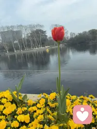 倾听，是爱的表现，是尊重的回馈。用你的耳朵，传递对世界的关爱与尊重。配图