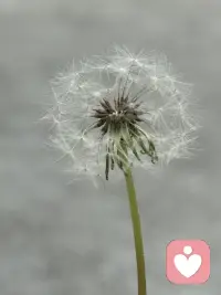 自控力不是天生的，是慢慢练出来的。
想让孩子放下手机，是家长先放下手机，
想让孩子爱上读书，是家长先拿起书本来
孩子不会听我们说了什么，会看我们做了什么
希望我们的孩子优秀，那我们先优秀起来吧！配图