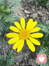 有些事觉得是要去改变孩子，其实要改变的是我们自己配图