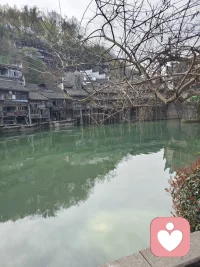 人到中年，心也静不下来，回想当年的自己，想对自己说声对不起，我没有好好待你。配图