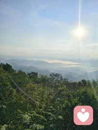 相逢一笑，低眉无语，惊鸿一瞥，思绪心间，往昔如梦，不再少年，奈何缘浅，愿你无忧。配图