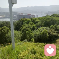 一晃三十多年了，我已经记不住您的样子了，但是你的爱留在了我的心中配图