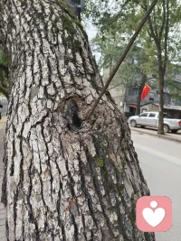 如果你觉得婚姻没有必要维持下去了那么请明说，我会潇洒转身，我不希望我的婚姻里有出轨。配图