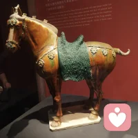 人生很难过得全，也很难过得好，放过自己最重要配图