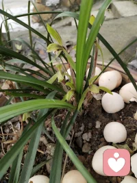 人生很难过得全，也很难过得好，放过自己最重要配图