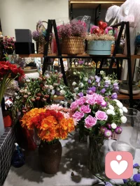 反正早晚都得疯 ，不要错过这个风口，哈哈哈配图