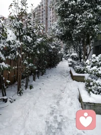 无论我怎么做都得不到认可，没有关系我自己认可自己就行，你们对我薄情寡义，我还是孝顺你们，对你们不好我对不起道德，对你们好我对不起自己，我只是败给了善良的自己，正心正念，正知正觉。配图