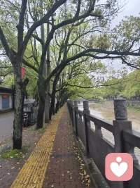 新生 ，旧落，辛苦了扫地僧，重启，你准备好了吗？配图