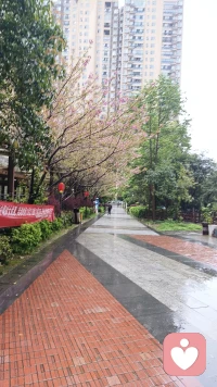 如果你非常努力的活着了，结果还是不尽如人意，那就接受吧！平静的接受上天给的一切