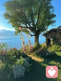 心是个容器
多装点快乐 ，烦恼就少了； 
多装点君子，小人就远了；
多装点简单 ，忧郁就散了； 
多装点满足 痛苦就淡了。 
你的内心，由你决定装什么!配图