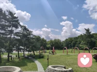 我自人间烂漫，何须借谁光暖。
 
心有繁花，眼底有星光，不困于得失，不囿于悲欢，自顾自明媚，自在又坦荡。