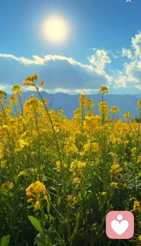 外人的评价，不过是对方认知的投影。深以为然的一段话：你在他人口中的好与坏，其实只是和他们的利益有关系，你符合他们的利益。他们就会夸你，抬举你，不符合他们的利益，他们就批评你，打压你，甚至诋毁你，他人的评价，不过是他认知的投影，当你的境界远高于对方时，他只能用他自己有限的尺子丈量，正所谓众生见你却非你，爱者见魂，利者见秤。所以不活在别人的嘴巴里，好听的话不当真，难听的话也别走心。