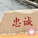 张生抽的头像