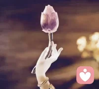 🔥 你的高维智慧，一直被你忽略了
 
越向外抓，越痛苦；
越向内看，越清醒。
 
你以为缺方法、缺机遇、缺理解，
其实你只缺——看见自己内在的智慧。
 
所有答案，早已在你心底；
所有力量，本就与生俱来。
唤醒它，人生瞬间通透、顺遂、欢喜。
 
 
欢迎关注❤️心晴小站❤️一起唤醒高维智慧，活出通透人生✨