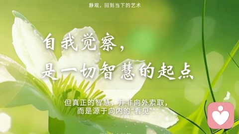 向内修，解焦虑，三个温柔练习帮你从困境中重启人生