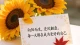修炼你的“好运体质”：从心理学角度，解锁自带好运的能量密码