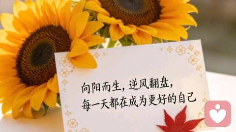 修炼你的“好运体质”：从心理学角度，解锁自带好运的能量密码