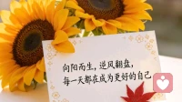 修炼你的“好运体质”：从心理学角度，解锁自带好运的能量密码
