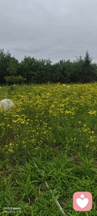 褪去城市的浮躁喧嚣，一头扎进自然怀抱里
 
当脚步远离楼宇街巷，目光望向青山林海，紧绷的心也跟着慢慢舒展。风吹过枝叶沙沙作响，溪水顺着山石缓缓流淌，天地间万物自在生长，不慌不忙，随性从容。
 
在自然里卸下满身疲惫，抛开心里的杂念牵绊。不再纠结得失琐事，不再被情绪困住思绪，静下心来和自己对话。
 
顺着山野清风回归本心，接纳当下所有状态，让身心彻底放空松弛。浸染草木灵气，抚平内心褶皱，在山野之间找回最本真安稳的自己。配图