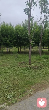 褪去城市的浮躁喧嚣，一头扎进自然怀抱里
 
当脚步远离楼宇街巷，目光望向青山林海，紧绷的心也跟着慢慢舒展。风吹过枝叶沙沙作响，溪水顺着山石缓缓流淌，天地间万物自在生长，不慌不忙，随性从容。
 
在自然里卸下满身疲惫，抛开心里的杂念牵绊。不再纠结得失琐事，不再被情绪困住思绪，静下心来和自己对话。
 
顺着山野清风回归本心，接纳当下所有状态，让身心彻底放空松弛。浸染草木灵气，抚平内心褶皱，在山野之间找回最本真安稳的自己。配图