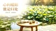 你所抗拒的，正在无声消耗你的能量