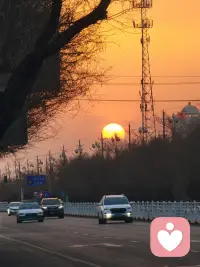 你明媚阳光且灿烂

所有好运都会如期到来配图