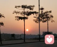 追溯原生家庭，是为了让你看见伤害的部分，看到父母的局限，看见因果与自我，从而避免重复过去的伤害！