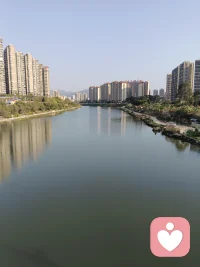 也许世上本没有和你同频的人，只是有心人，偷偷为你调了频！