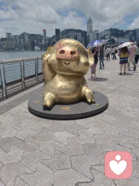 2026，先静心，再前行

2026的扉页已然翻开，你是否立于目标前踌躇难行？也许真正的阻碍并非我们自认为的能力短板，而是潜意识里“我不配，我怕输”的声音。那些自我设限的恐惧和犹豫才是拖慢脚步的枷锁，若内心堆满包袱，再近的地方都变得遥不可及。愿这一年，我们都能卸下精神负累，把我不敢碾碎成我可以，轻装踏征程！