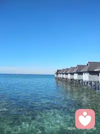 从缺爱的内在小孩到想要却得不到，再到看见理想的自己，再到重新养育自己，很多人不是没有力量，而是把力量都用在证明自己不值得被爱。
     希望你不再苦苦向外求爱，而是学会做自己最温暖的依靠！配图