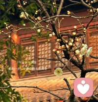 不把你列入未来计划的人，你为他放弃自己的计划，是最昂贵的礼物送错了人。