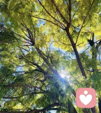 当你需要时，我在这里，有些路走着走着，好像突然看不清方向，有些话想着想着，却不知该对谁讲，那些卡在喉咙的情绪，那些深夜的辗转
不需要独自承担。配图