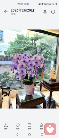 在这个快节奏的世界里，允许自己慢下来，甚至“暂停”一会儿，你的每一种情绪，都值得被温柔接住。配图